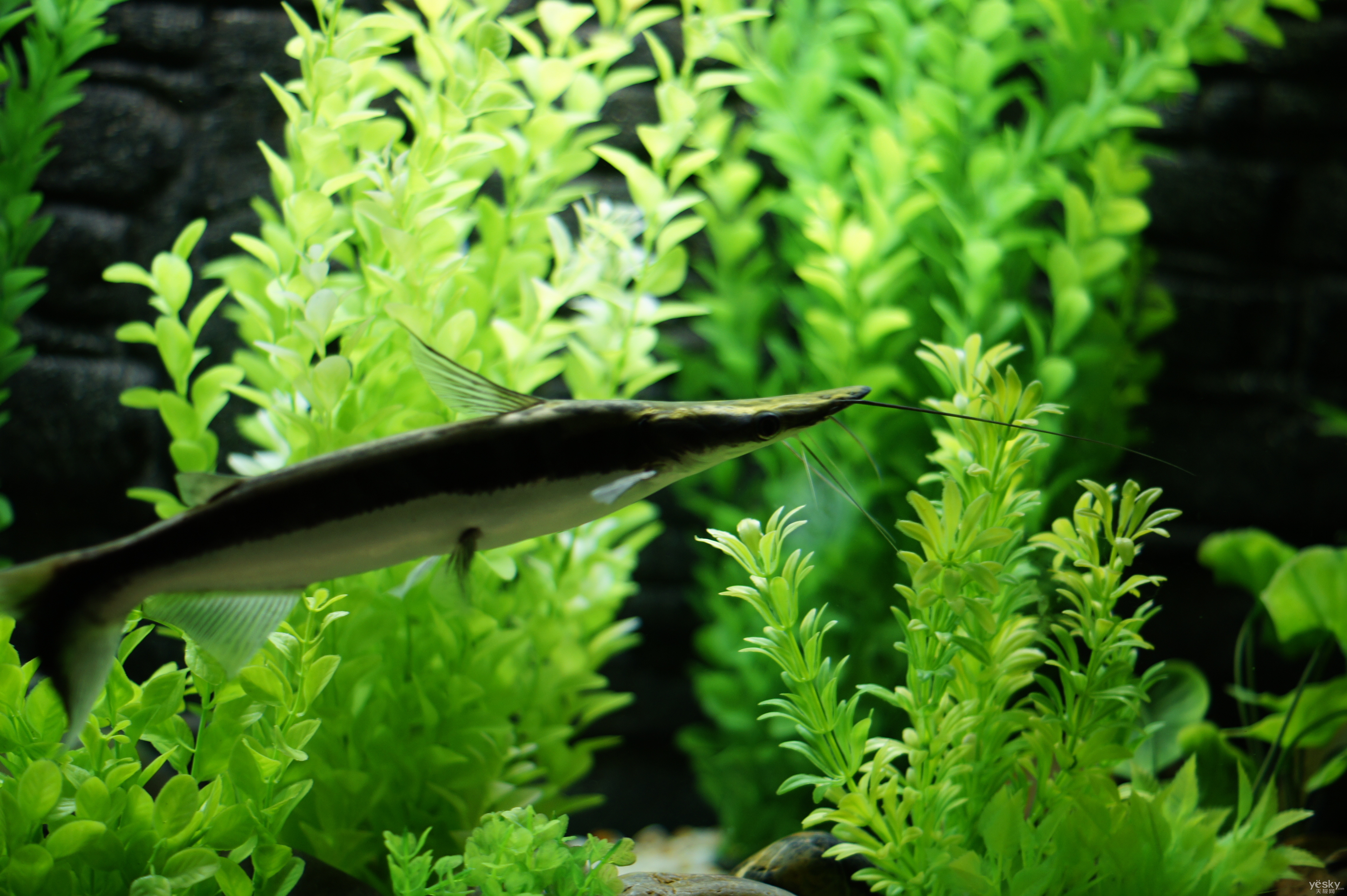 一个光滑斜坡的倾斜角为30度坡长1.6m从坡长