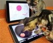 ��èè���iPad��Ϸ��ʽ��Ӧ���̵��Ƴ�