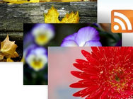 ���첻Զ ��Win7ϵͳ����������̬RSS����