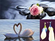 �㼯Win7�������� �������������˽�