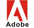 关于AdobeAnalytics新功能辅助精准营销的毕业论文开题报告范文