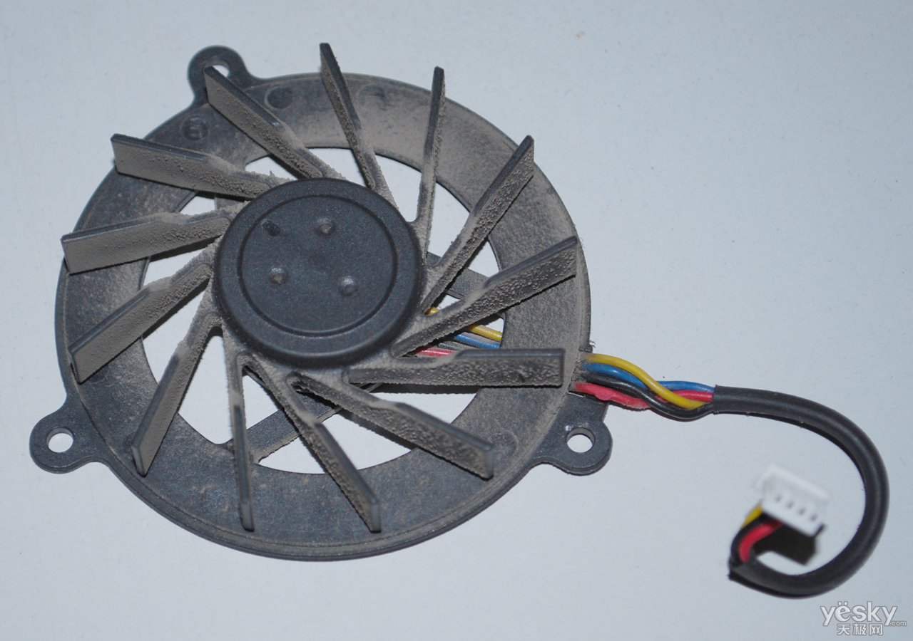 N10I319MP5P3_DSC_0030.JPG