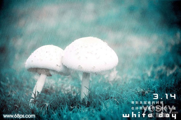 photoshop制作雨中蘑菇的孤单情调(图二)
