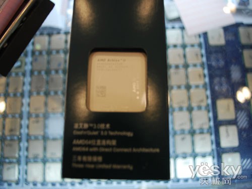 �Լ۱��Ͻ��������� ����II X2 250��365