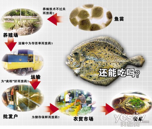 怎么养多宝鱼 6M5477XO07P7_xin_182110320224223412539230.jpg