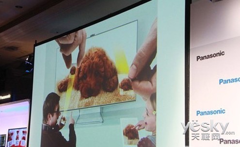 会议电视机多屏显示 IKH29I0AJAO5_5.jpg