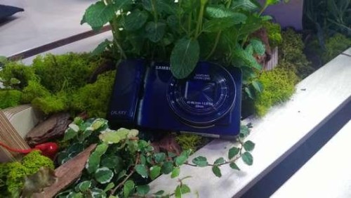 F\/1.9光圈威力十足 诺基亚Lumia720拍照解析