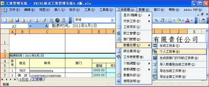 收入证明_收入表格式(3)