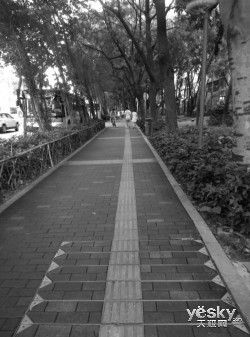 最强拍照手机nubia Z7 max拍照功能评测_第3页