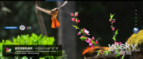 ѡ񳬸 UHD
