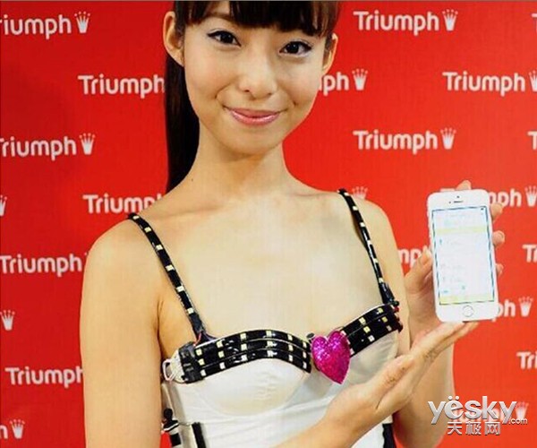 日本内衣品牌排行榜_日本内衣品牌相关文章