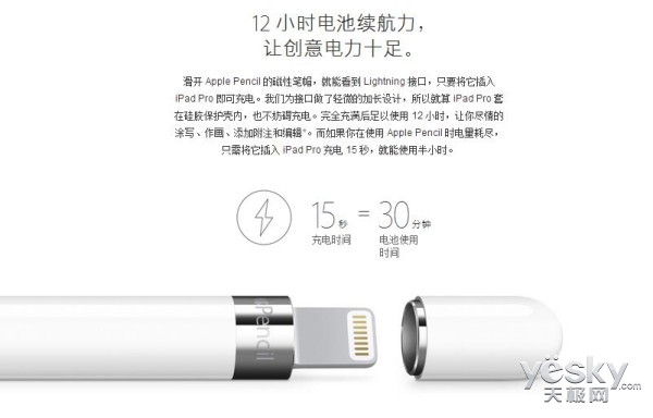 Apple Pencil标配适配器 支持Lightning充电