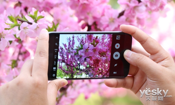 真能秒6S?三星S7玉渊潭樱花季拍照实战