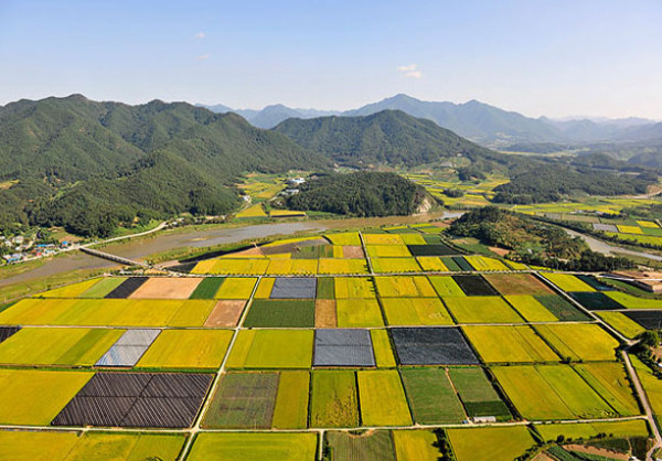 中国农村市场广阔？苹果说他们很看好