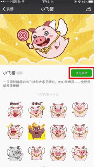 小飞猪下载步骤