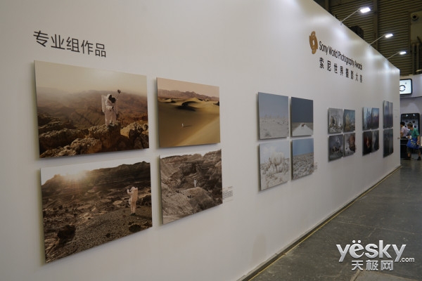 P&I2016:探访索尼展台 现场体验&讲座