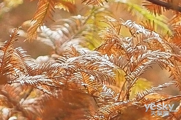 旗舰之心大师随行 小蚁微单相机M1全面评测