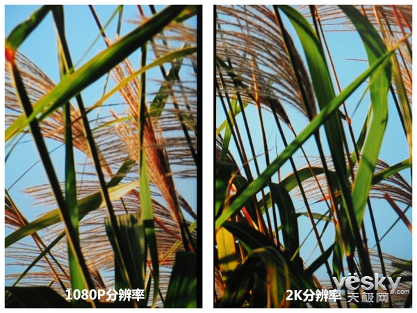 从需洽 优派VX2478-smhd 2K显示柒