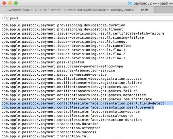 11YXB6TID594_pearlpassbookpayment-800x645_600.jpg