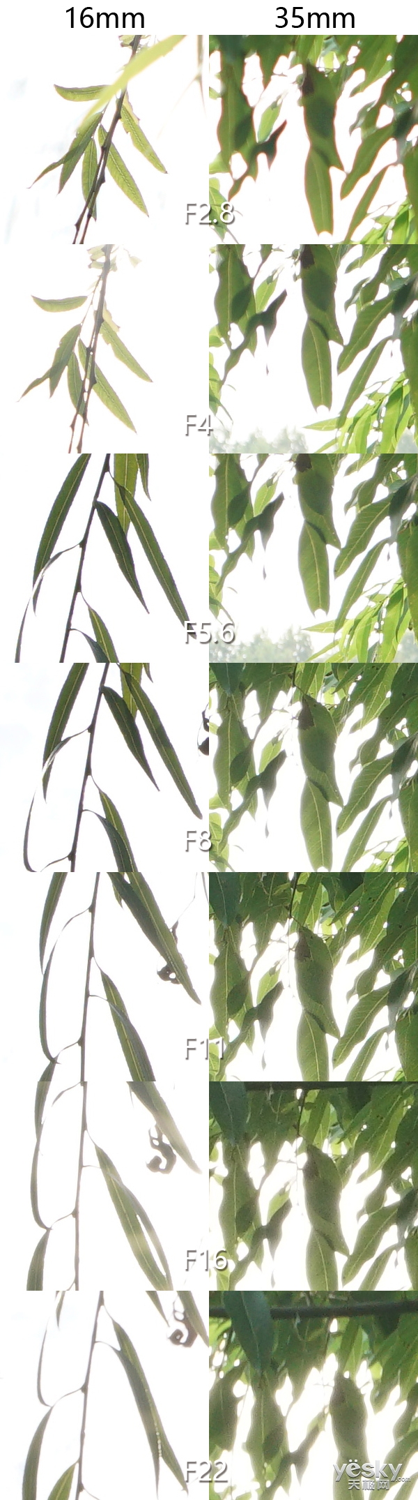 超广大三元 索尼FE 16-35mmF2.8 GM镜头评测