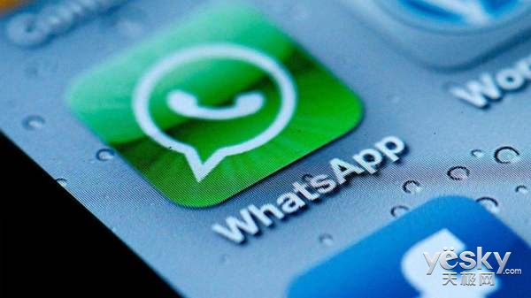 WhatsApp开启企业账户认证:添加绿色标记