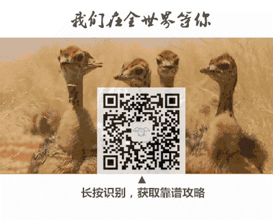 这不是色情,这是艺术,极致性感。