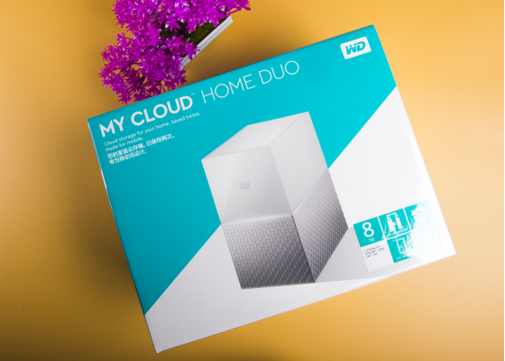 ��ȫ�ƹܼ� ��������My Cloud Home Duo��ͥ������