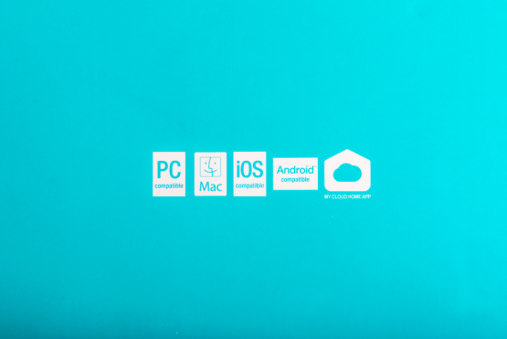 ��ȫ�ƹܼ� ��������My Cloud Home Duo��ͥ������