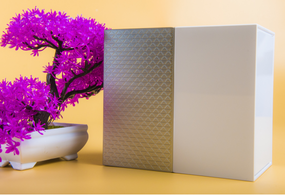 ��ȫ�ƹܼ� ��������My Cloud Home Duo��ͥ������