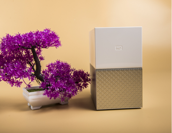 ��ȫ�ƹܼ� ��������My Cloud Home Duo��ͥ������