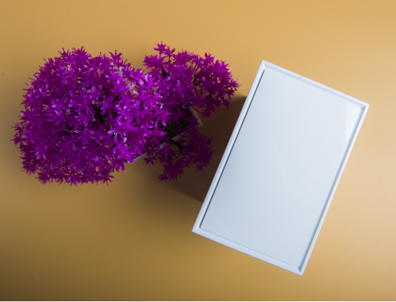 ��ȫ�ƹܼ� ��������My Cloud Home Duo��ͥ������