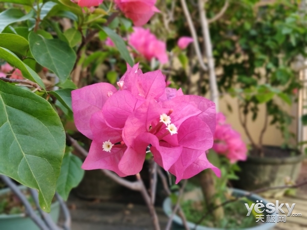 一加6手机体验:从不将就到不讲究还有多远