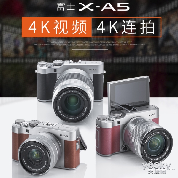 2K314SGX3774_600.jpg