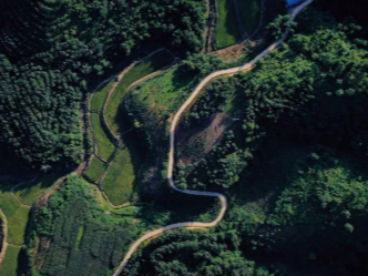 武汉2020年第二季度g_2020年武汉医生照片(3)