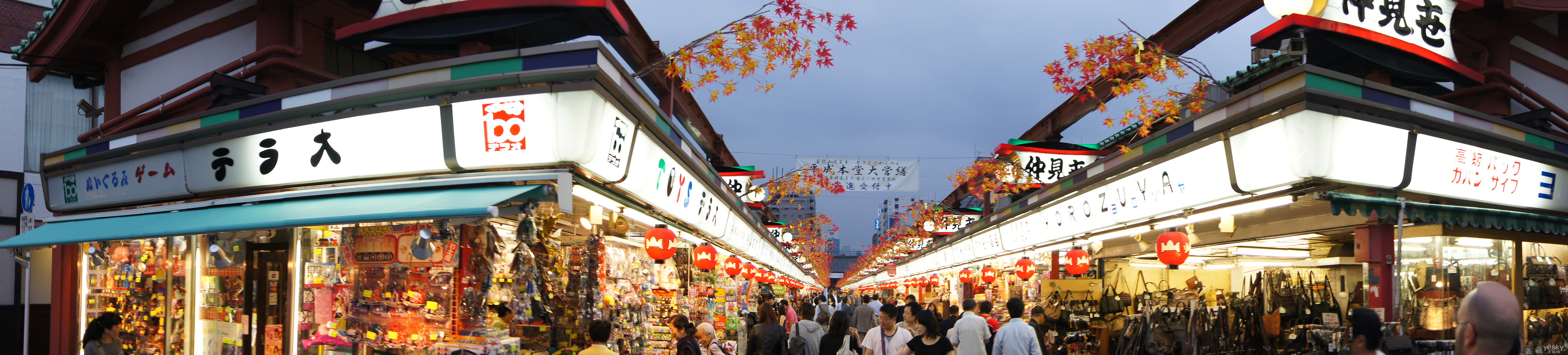秋日漫游日本索尼单电α55横扫浅草图记