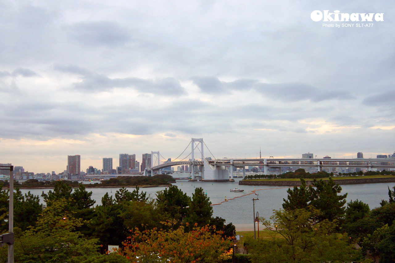 此行第一站,我們來到了日本最大的城市—東京,到達的當天,東京的天 