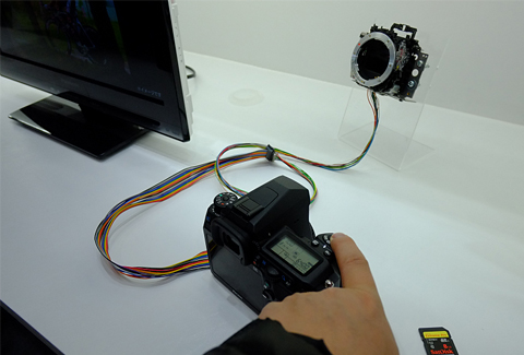 ����������