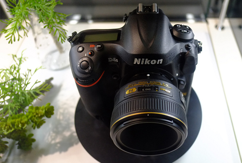 �῵D4s����������