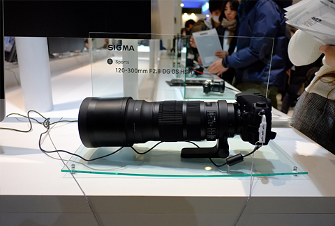 ����չ̨̽����