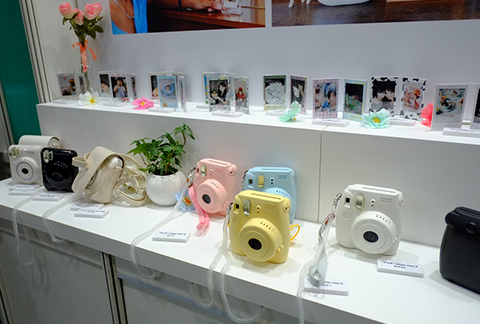 checky�����չ