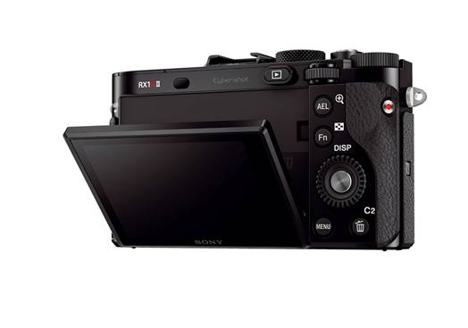 迎新春 索尼黑卡rx1rii帮你换新颜