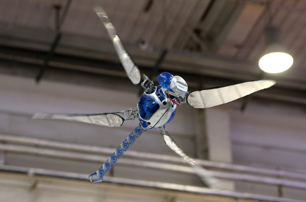 天极网 网络 互联网 据官方介绍,这个只有170克的蜻蜓小机器人