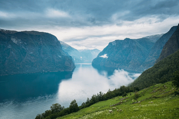 ΢������������ͼ2