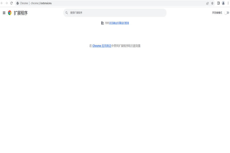 Chrome�������ͼ2