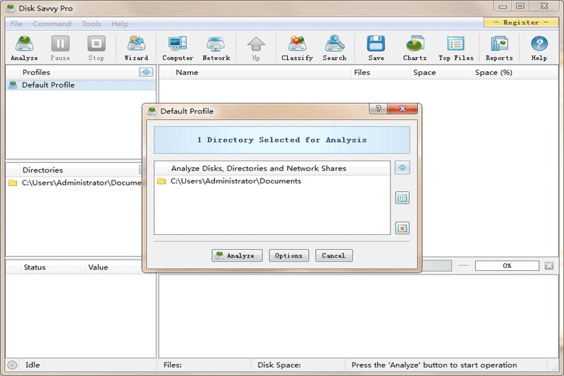 Disk Savvy Pro x32��ͼ2