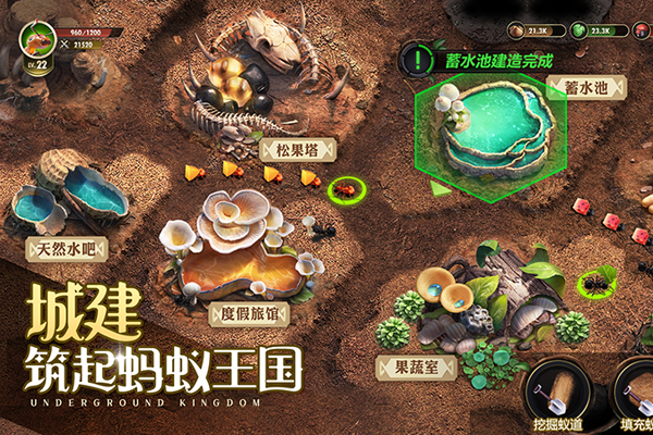 СС�Ϲ����ε��԰��ͼ4