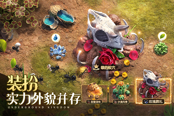 СС�Ϲ����ε��԰��ͼ3