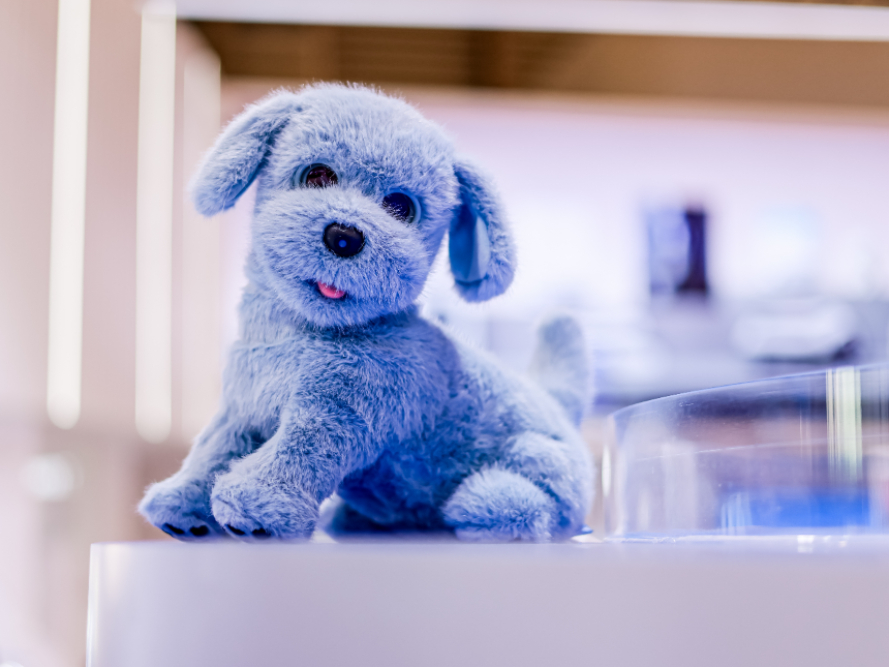 ����˹ë�Ŷ�